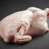 Pasture-Raised Whole Chicken