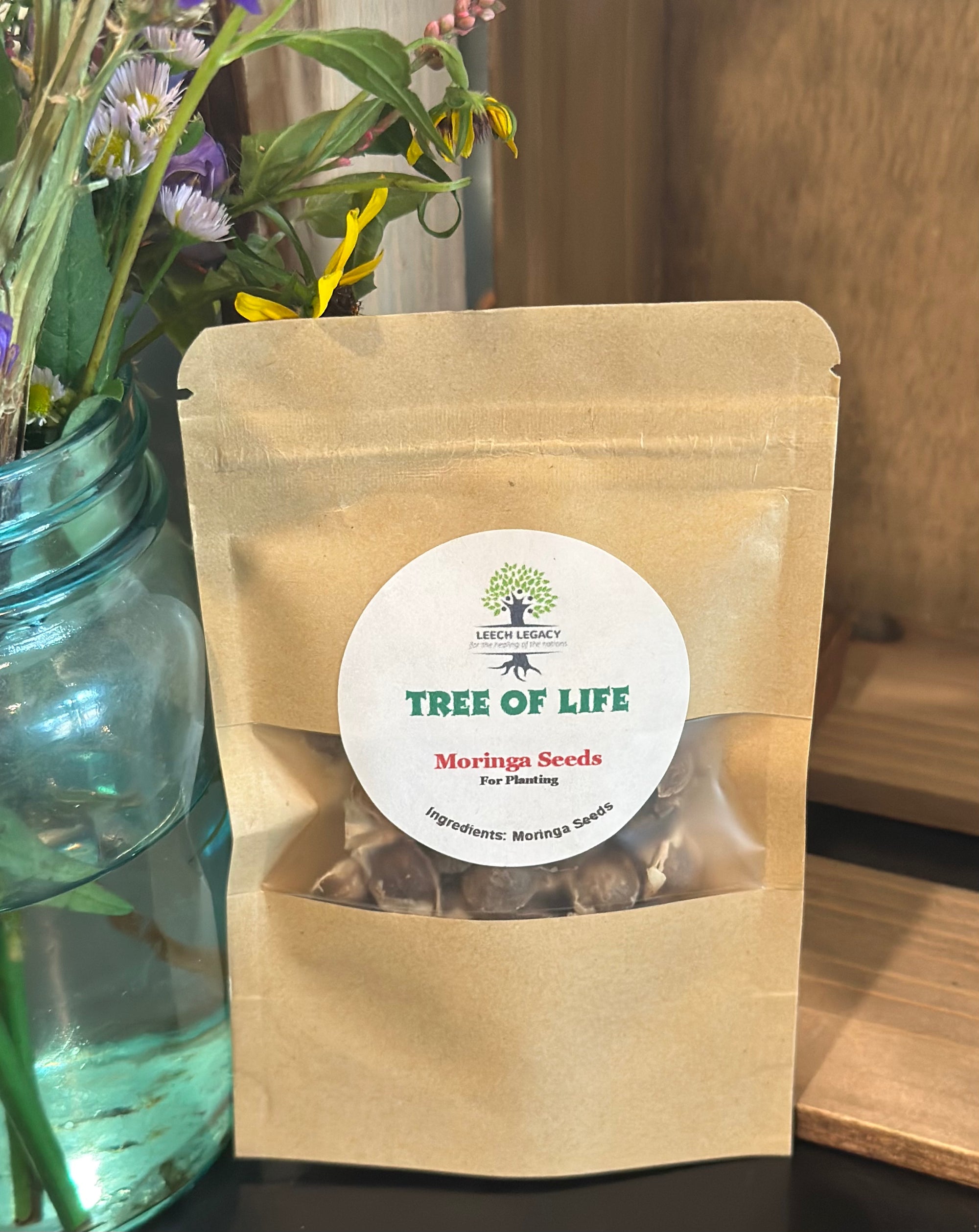 Moringa Oleifera Seeds (for planting)